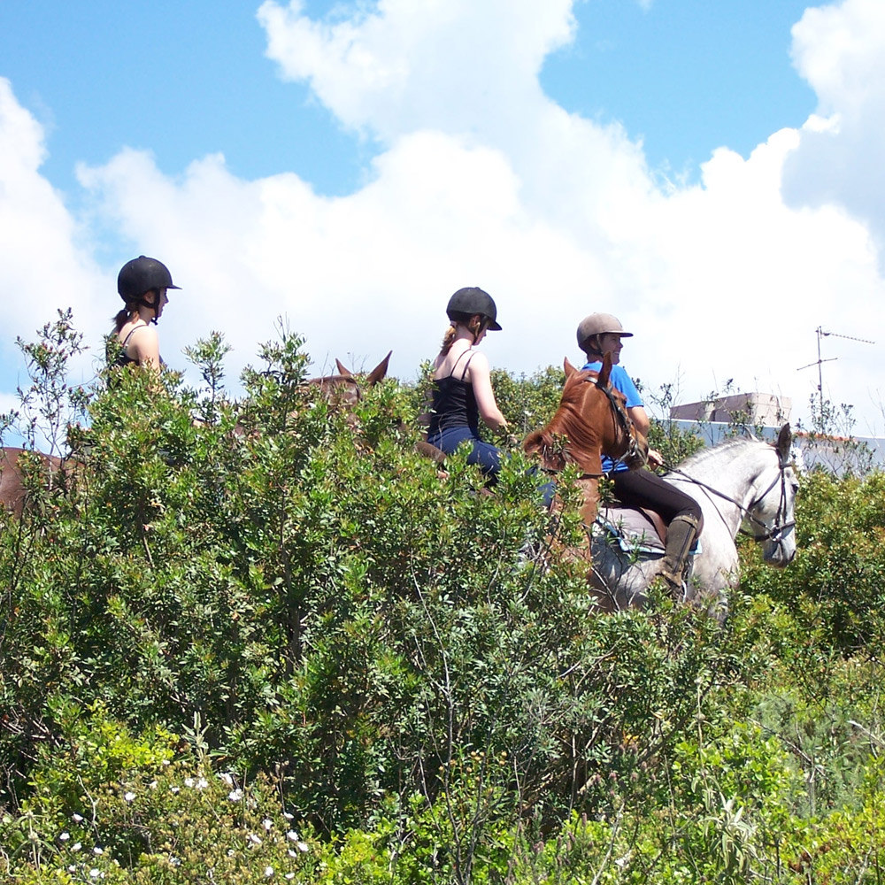 Come explore Algarve nature on a 7 hours horse ride