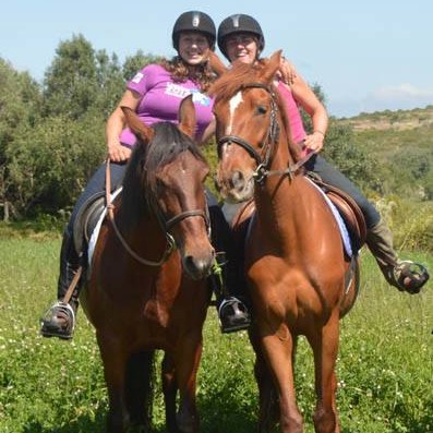 horse-livery-algarve More happy liveries at Tiffanys Riding Centre