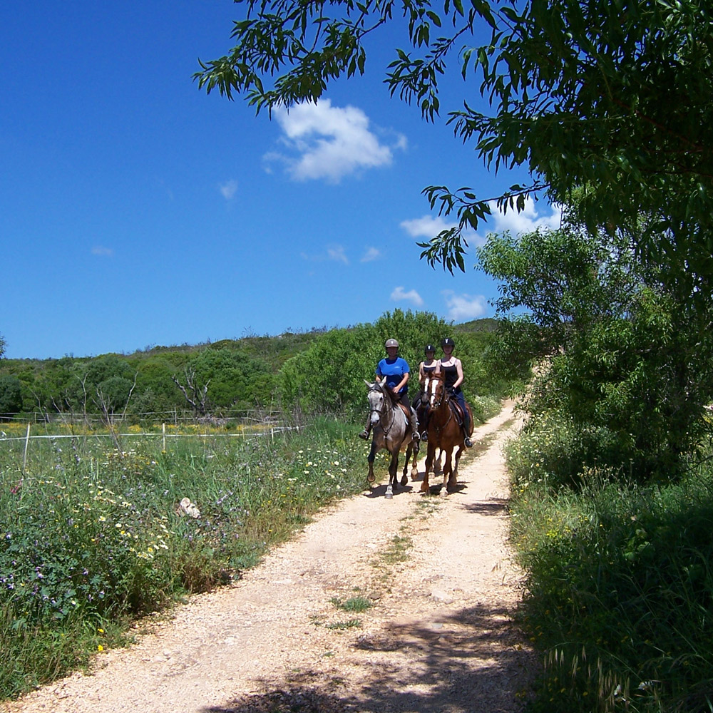 Trail riding on horse in Algarve