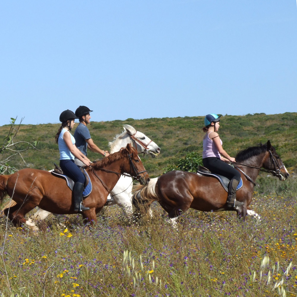 Enjoy a canter in the beautiful Algarve countryside