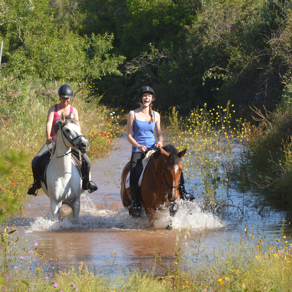 We are happy and have been waiting for water for so long!