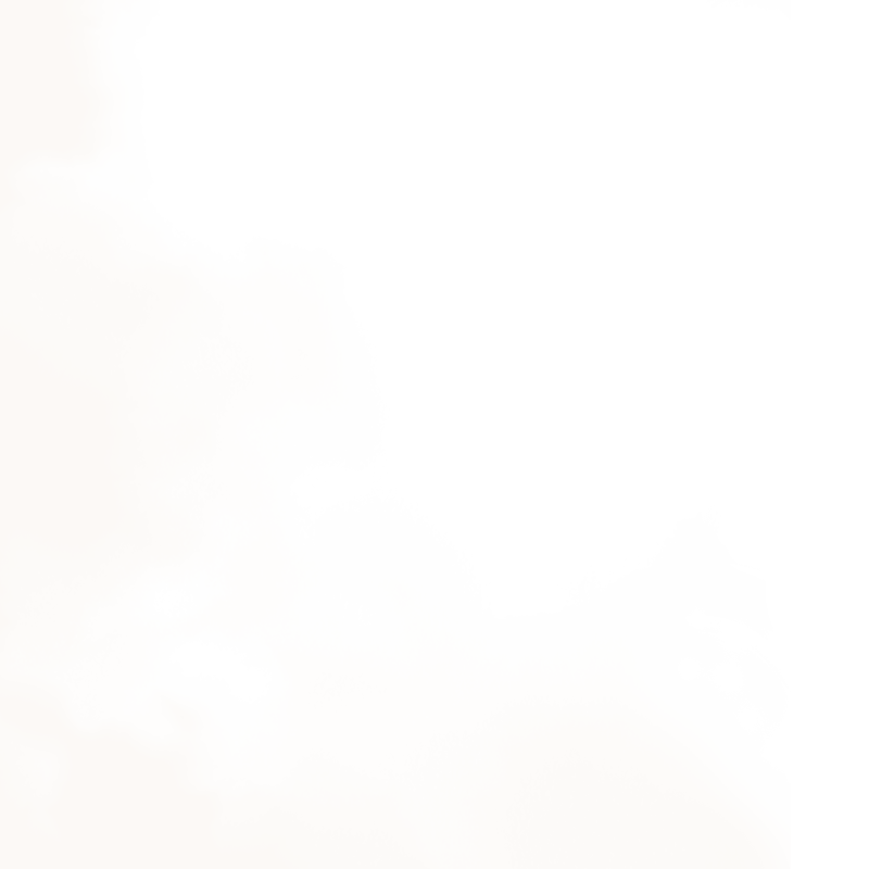 Welcome to Tiffany’s Riding Centre – Explore the Algarve’s natural countryside with us