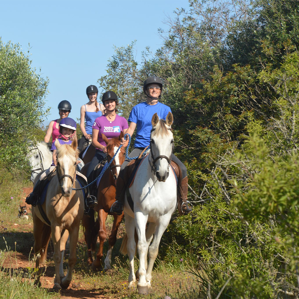 A ride out with experienced instructors and safe horses