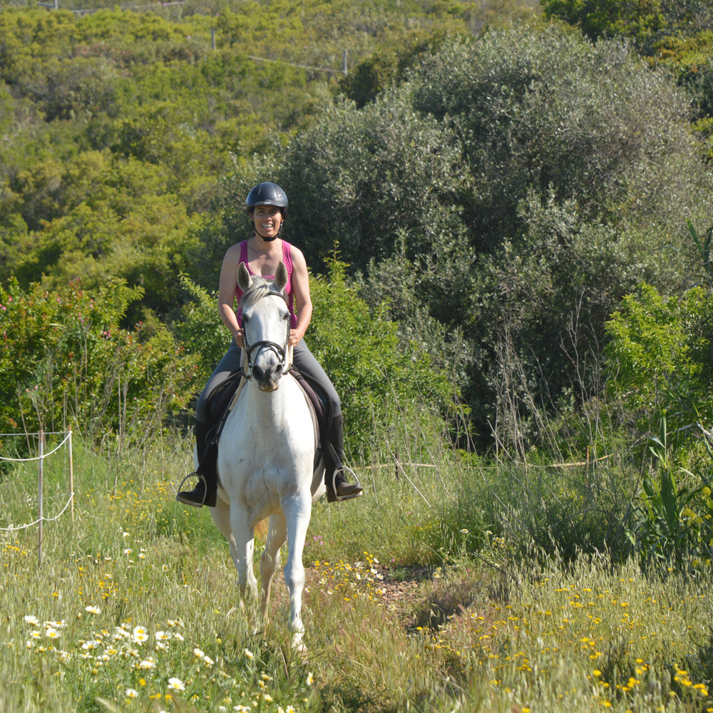 Come with us for a safari ride in Lagos, Algarve