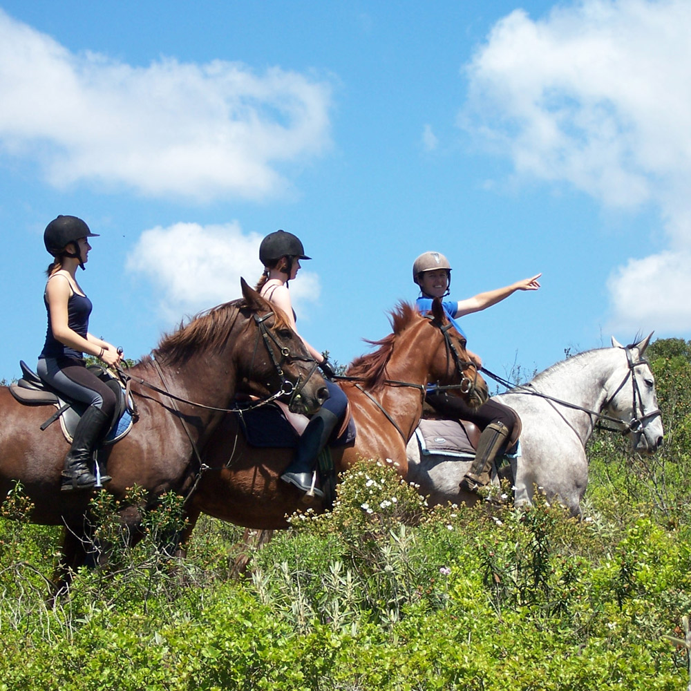 Exploring the Algarve countryside on horse back