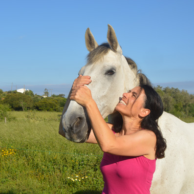 More happy liveries at Tiffanys Riding Centre